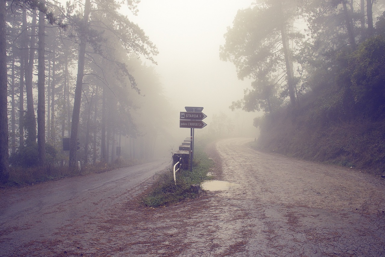 Misty Crossroads