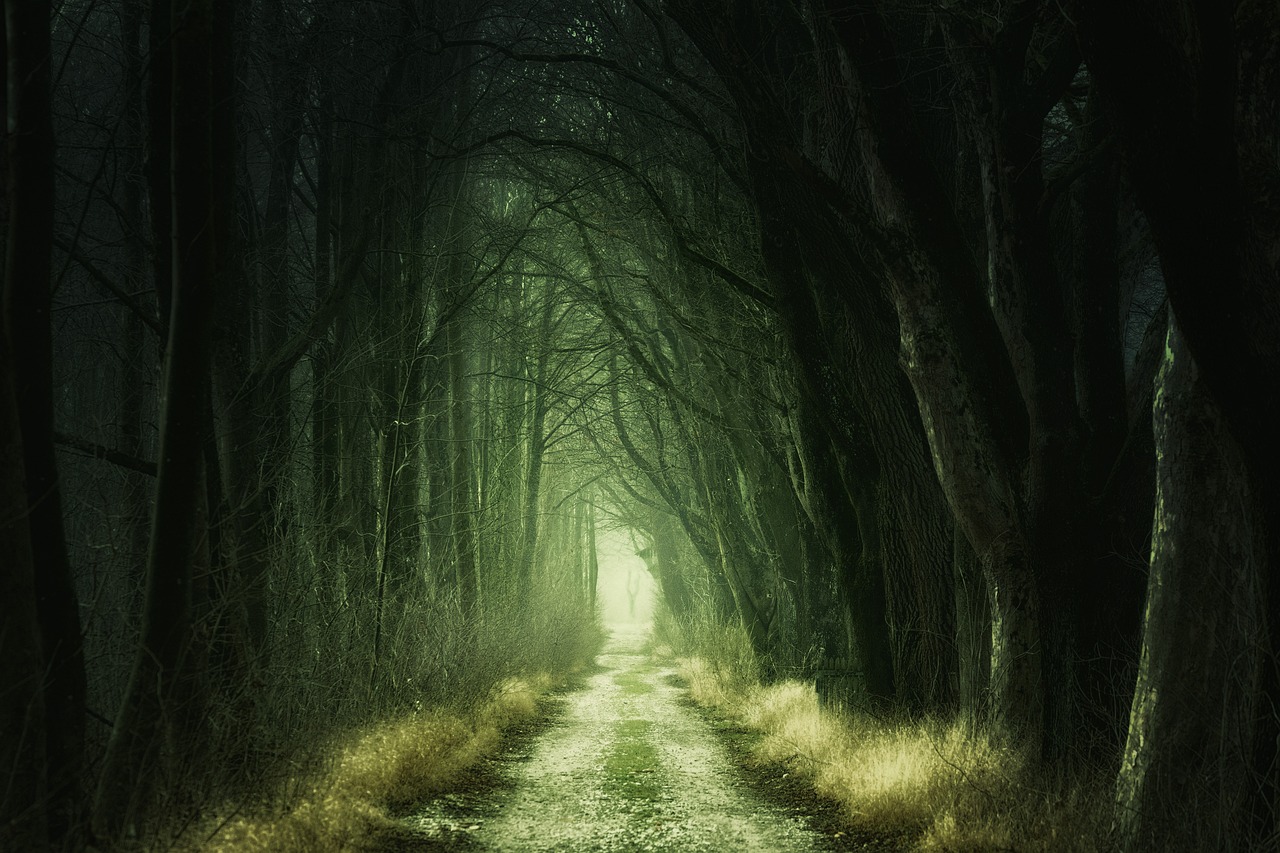 Grassy Enchanted Pathway