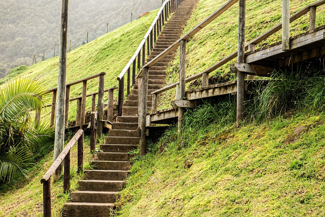 Uphill steps in nature