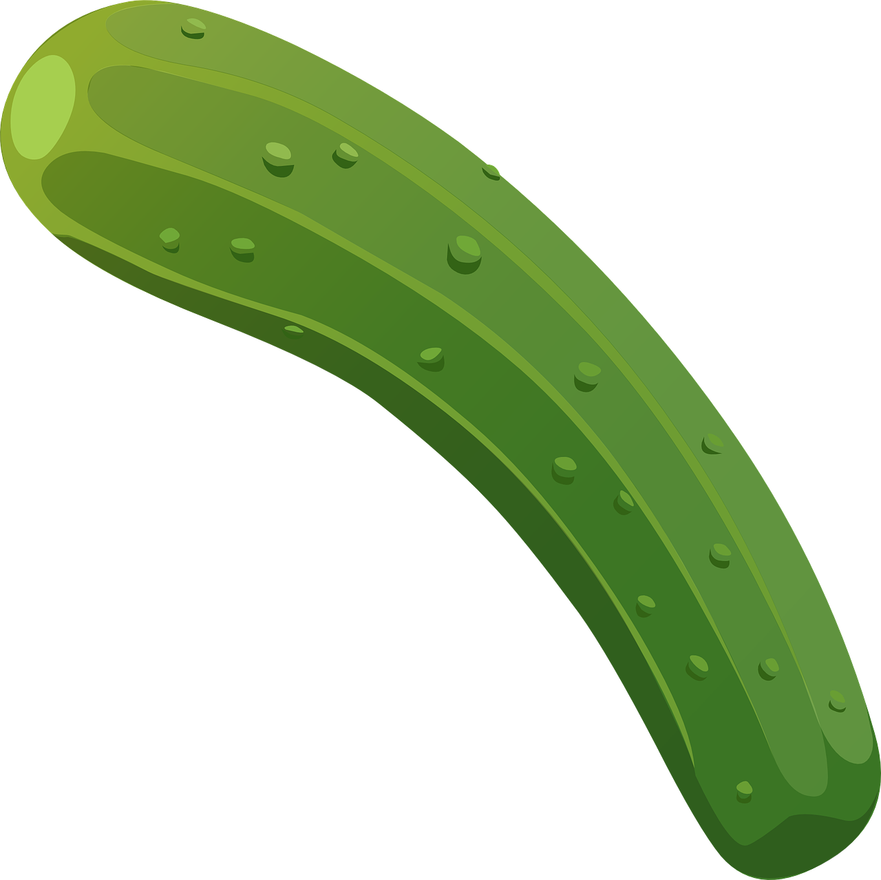 Cucumber fruit