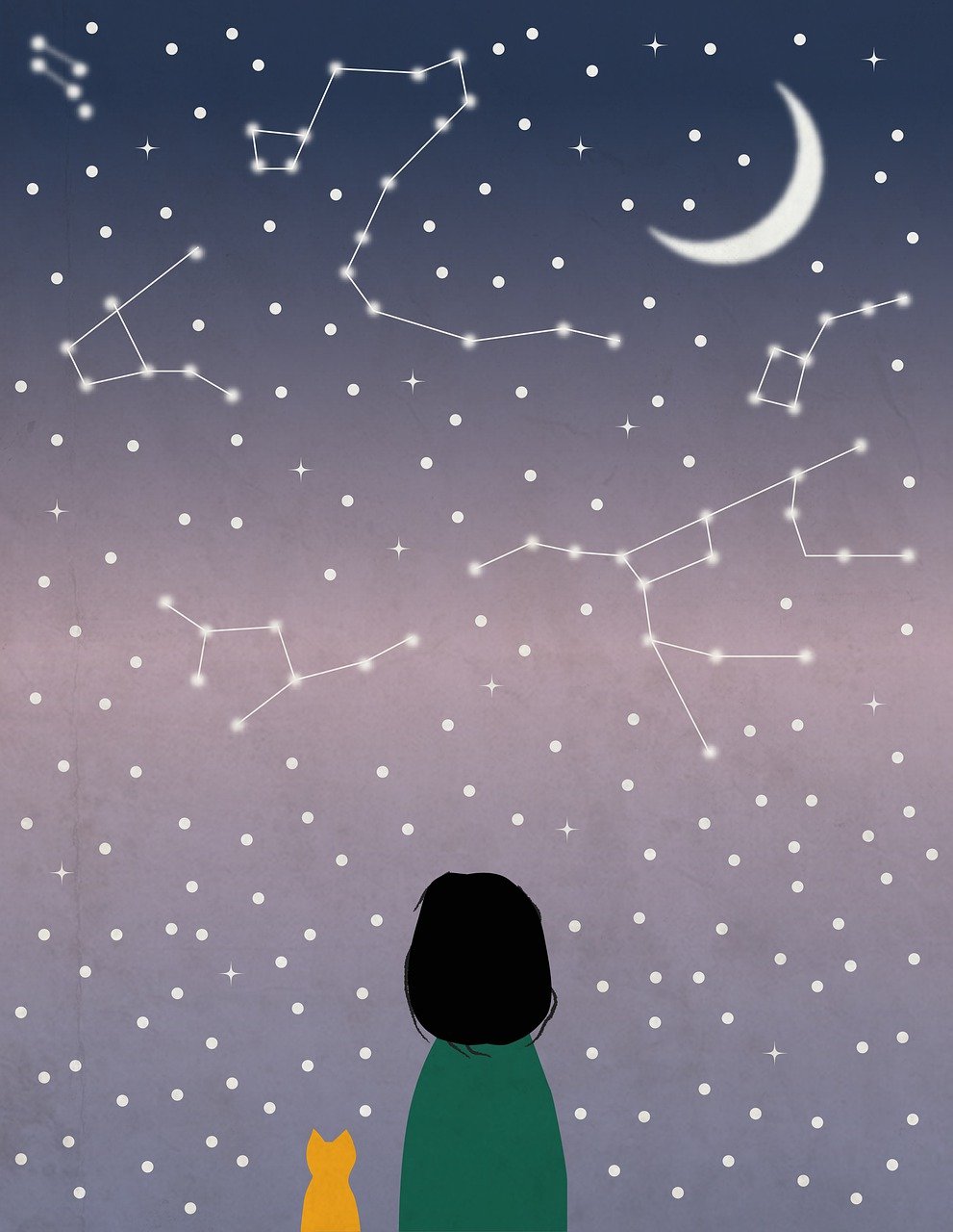 Girl looking at constellations with cat