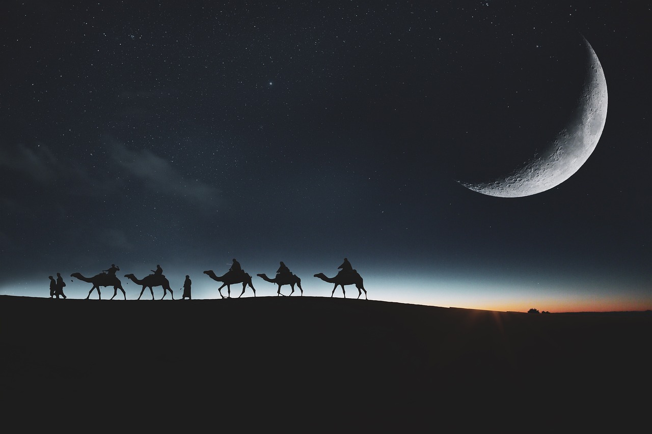 Camels and caravans in the Sahara under the moon