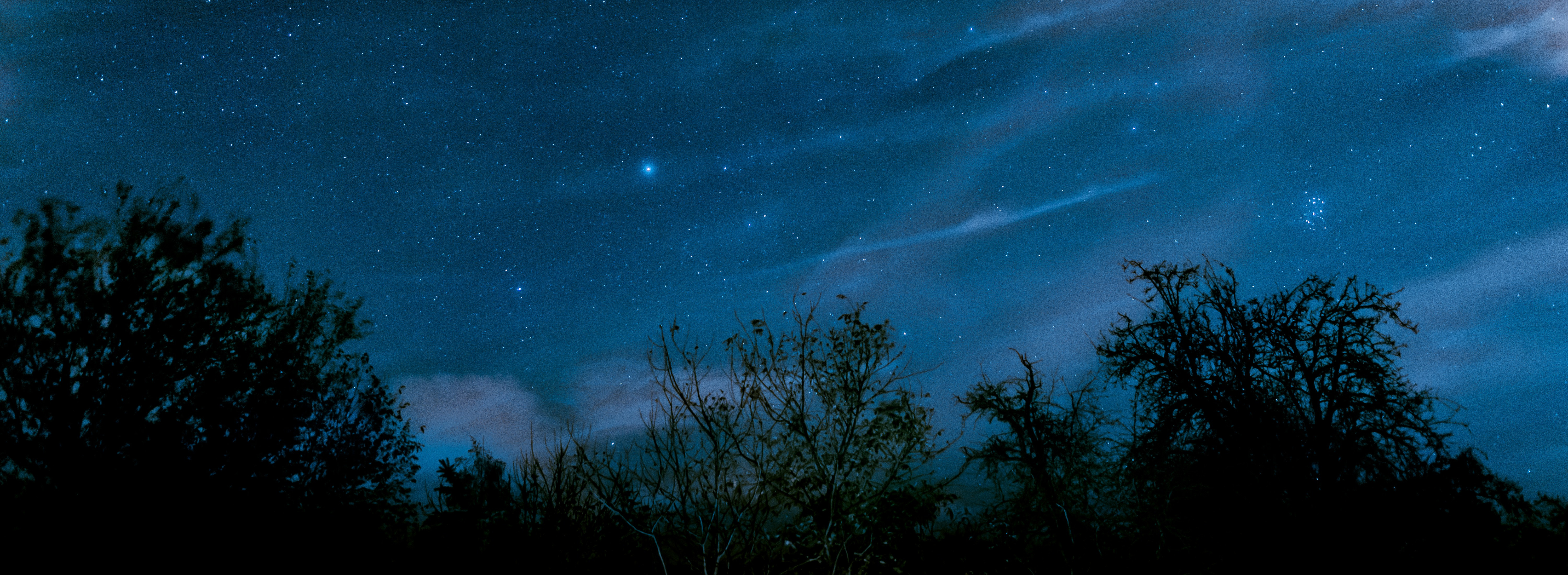 Night sky with stars and constellations