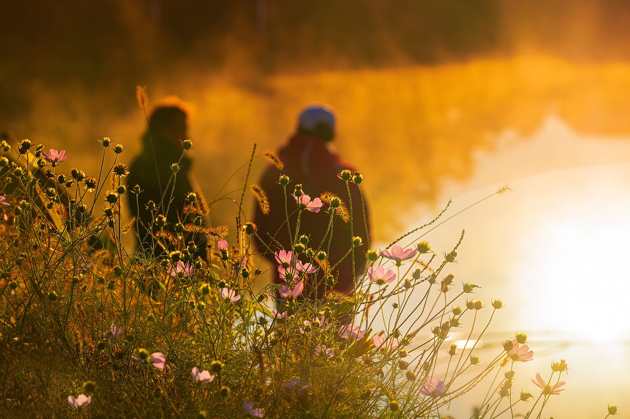 Two people walking among wildflowers at sunrise