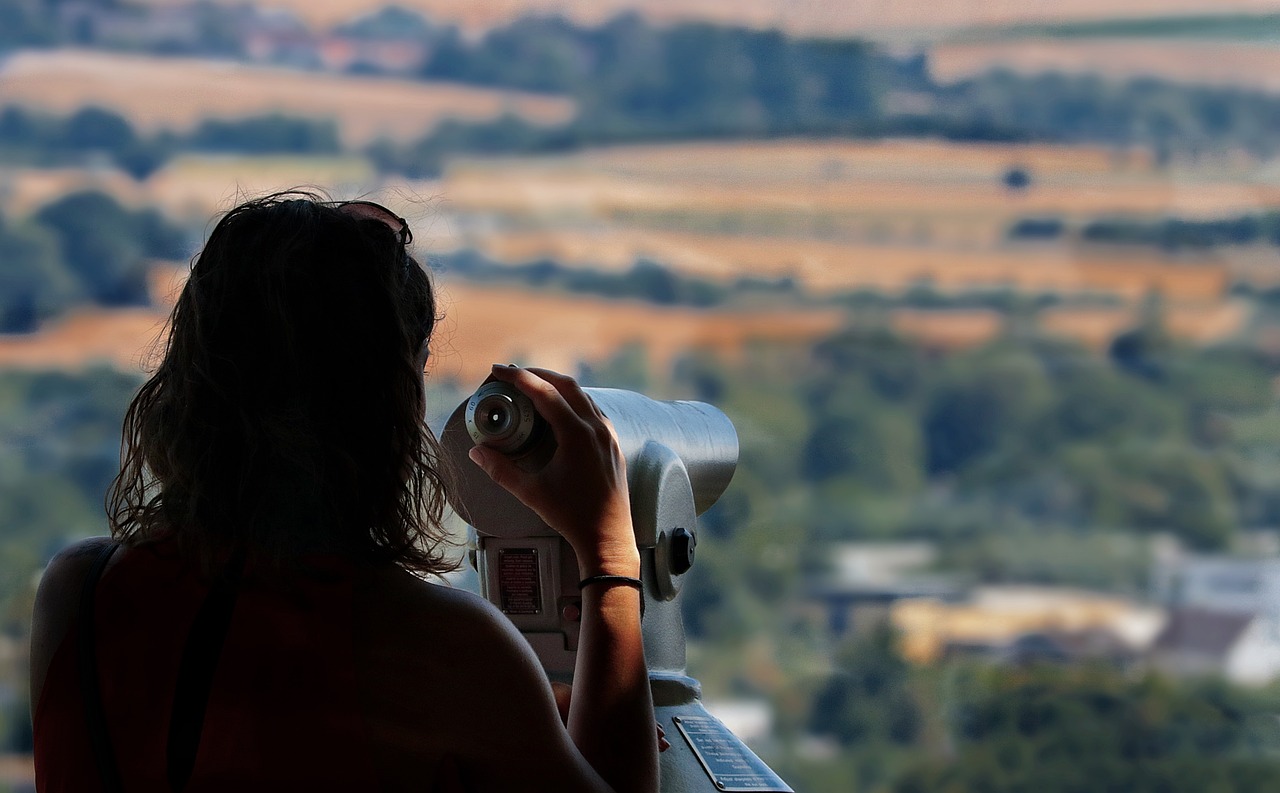 Person viewing landscape through binoculars