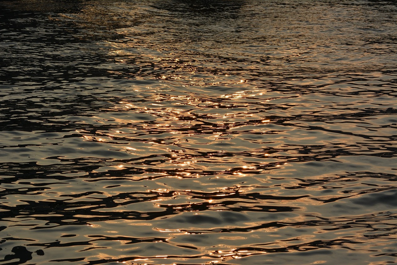 Water surface reflecting sunlight