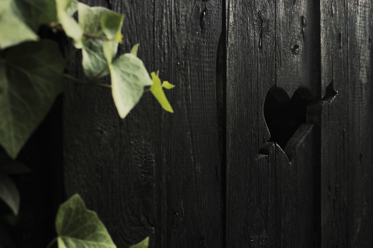 Heart-shaped Opening on Wooden Gate
