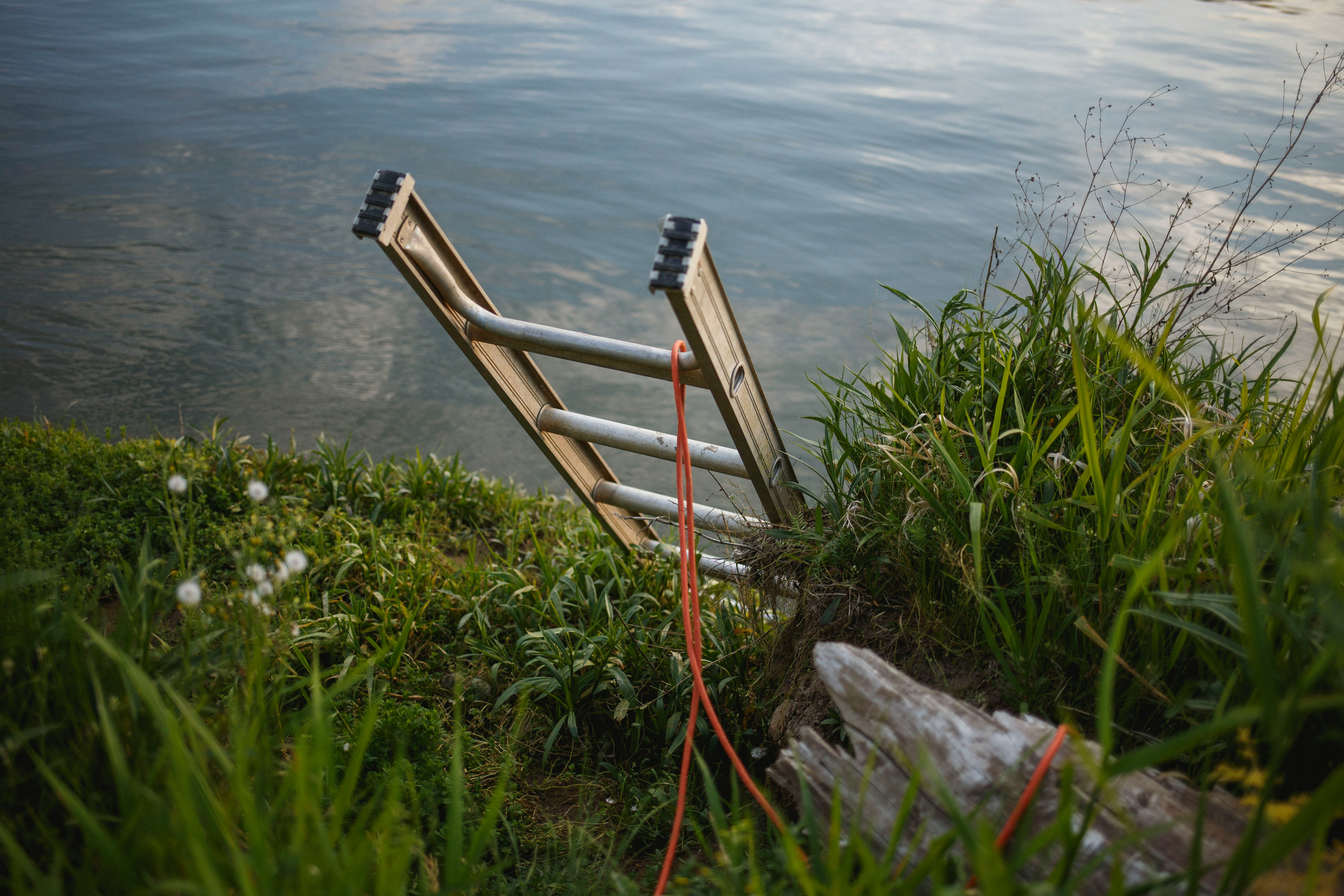 Ladder leading into a body of water with grass surrounding it